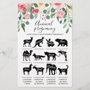 Dierlijke Zwangerschap met Answers Baby shower Gam