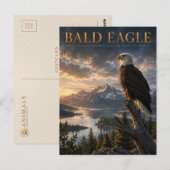 Diern van Bald Eagle Mountain Lake Briefkaart (Voorkant / Achterkant)