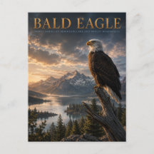 Diern van Bald Eagle Mountain Lake