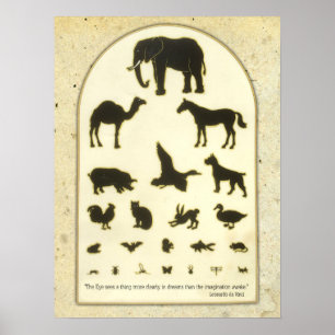 Dierooggrafiek ~ Leonardo da Vinci Quote Poster