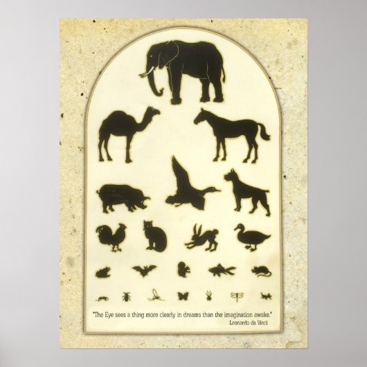 Dierooggrafiek ~ Leonardo da Vinci Quote Poster (Voorkant)