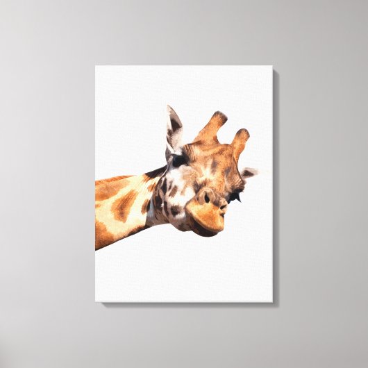 dierportret van Giraffe afrika Canvas Afdruk (Voorkant)