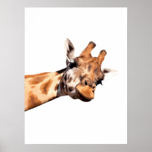 dierportret van Giraffe afrika Poster