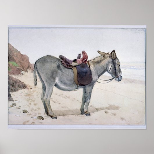 Dierproeven Poster (Voorkant)