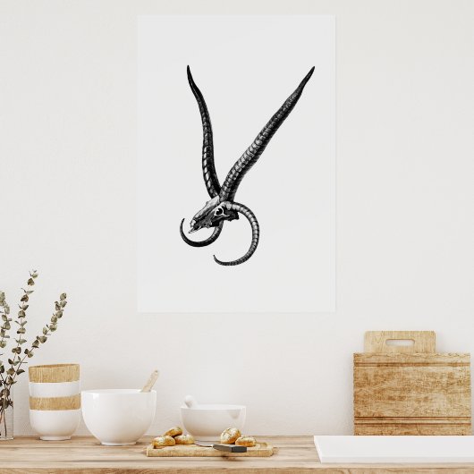  dierschedel poster (Keuken)