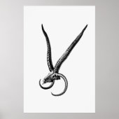  dierschedel poster (Voorkant)