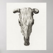 dierschedel poster (Voorkant)