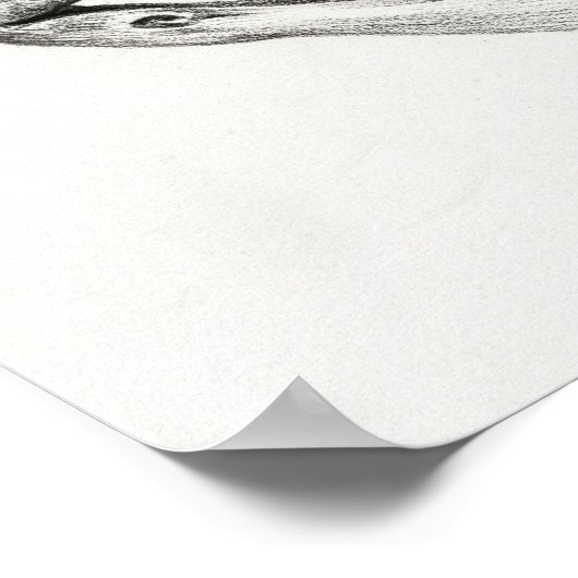  dierschedel poster (Hoek)