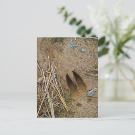 dierspoor briefkaart (Staand voorkant)