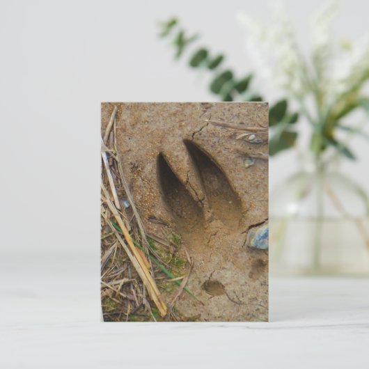 dierspoor briefkaart (Staand voorkant)