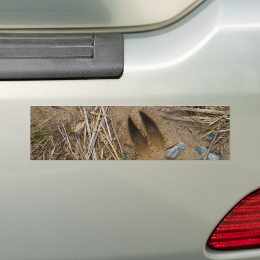 dierspoor bumpersticker (Op auto)
