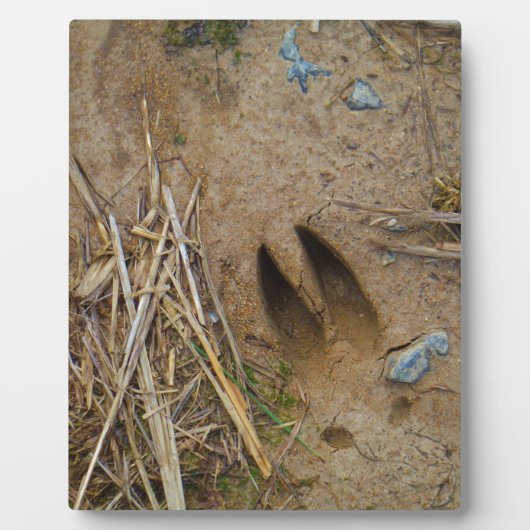 dierspoor fotoplaat (Voorkant)