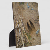 dierspoor fotoplaat (Zijkant)