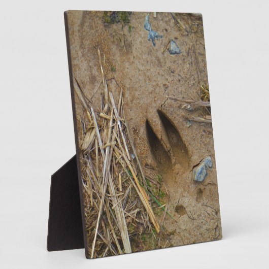 dierspoor fotoplaat (Zijkant)