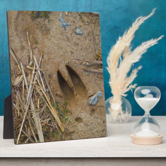 dierspoor fotoplaat (Zijkant)