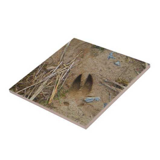 dierspoor tegeltje (Zijkant)