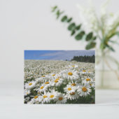 Diervelden in Hokkaido Briefkaart (Staand voorkant)