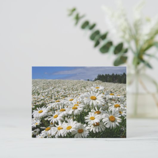 Diervelden in Hokkaido Briefkaart (Staand voorkant)