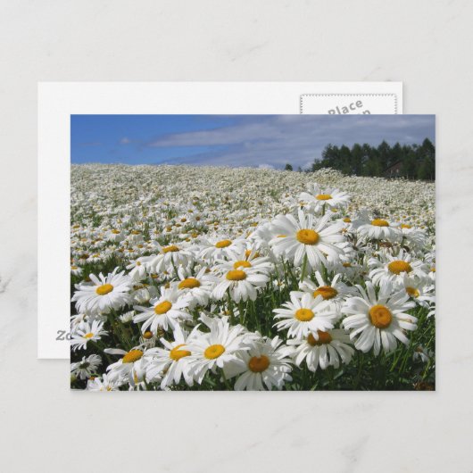 Diervelden in Hokkaido Briefkaart (Voorkant / Achterkant)