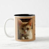 Diervoeders de Mok Dieren (Links)