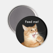 Diervoeders voor kattenmagneet magneet (Voorkant / Achterkant)
