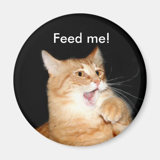 Diervoeders voor kattenmagneet magneet (Voorkant)