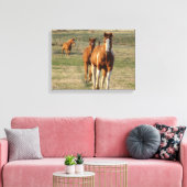 Diervoedertijd Canvas Afdruk (Insitu (Woonkamer))