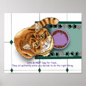 Diervoeding me Cat Poster (Voorkant)