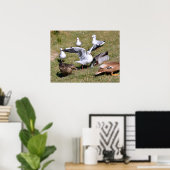 Diervogel Gulls en eenden op gras Poster (Thuiskantoor)