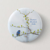 Diervogel-oostelijke blauwvogel ronde button 5,7 cm (Voorkant)