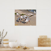 Diervogel Zwarte kuilen op het strand Poster (Keuken)