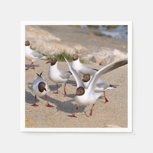 Diervogel Zwarte kuilen op het strand Servet (Voorkant)