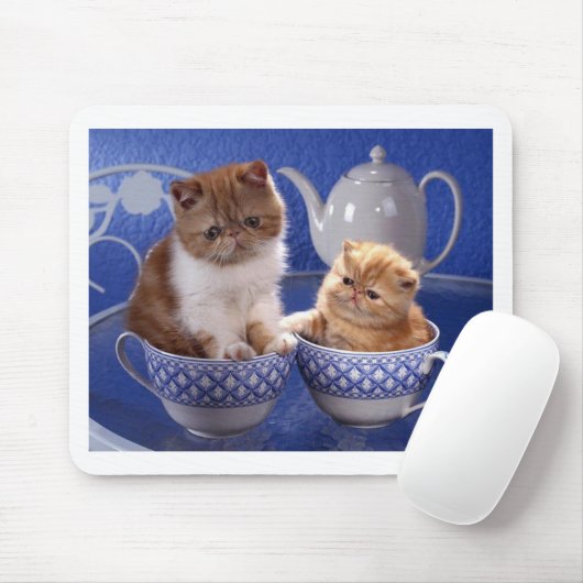 diervriendelijkheid muismat (Met muis)