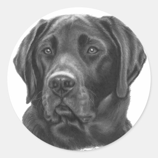 Diesel, Black Labrador Retriever Ronde Sticker (Voorkant)