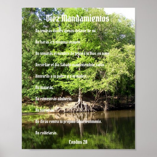 Diez Mandamientos - Ciprés en el Pantano Poster (Voorkant)
