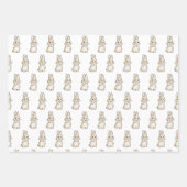 Different bunny  inpakpapier vel (Voorkant 3)