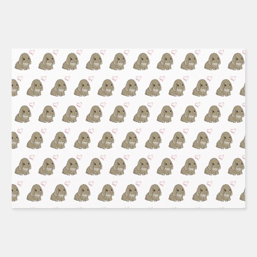 Different bunny  inpakpapier vel (Voorkant 2)