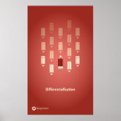 Differentiafication Poster 18 x 30 inch (Voorkant)