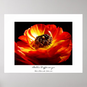 Differenza (met naam) poster