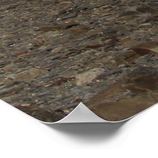 Digby Lighthouse Poster (Hoek)