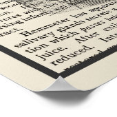 Digestieve systeemanatomie Art Afdrukken #1 Poster (Hoek)