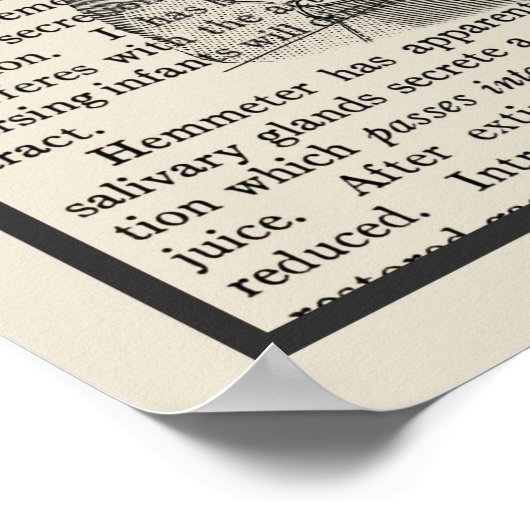 Digestieve systeemanatomie Art Afdrukken #1 Poster (Hoek)