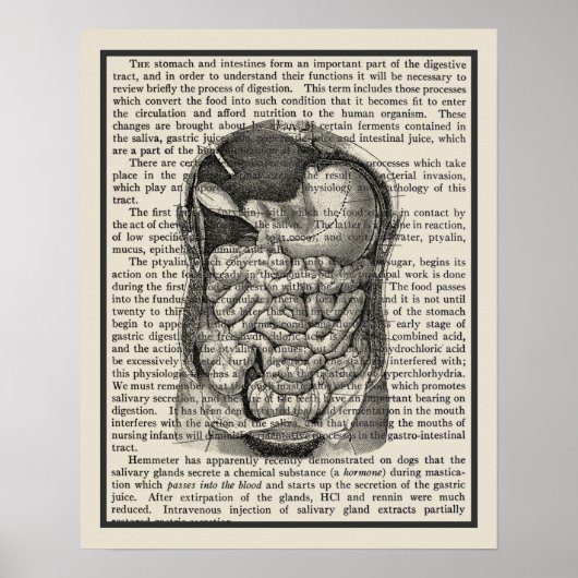 Digestieve systeemanatomie Art Afdrukken #1 Poster (Voorkant)