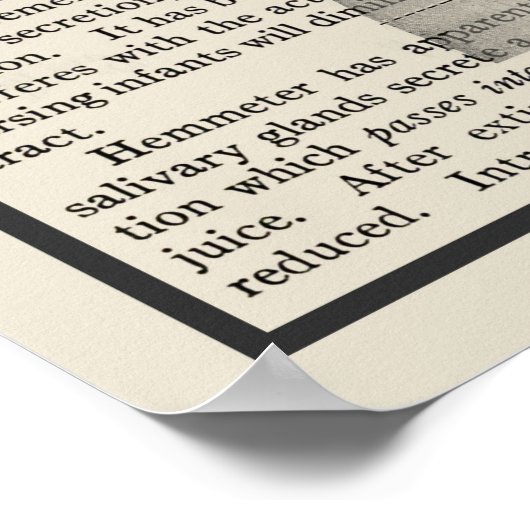 Digestieve systeemanatomie Art Afdrukken #5 Poster (Hoek)