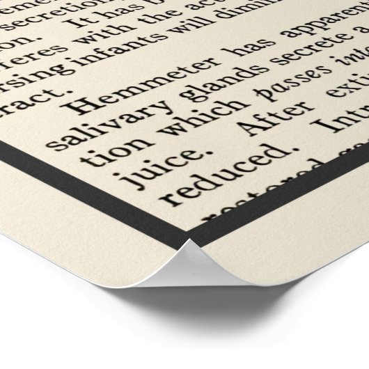 Digestieve systeemanatomie Art print #4 (Hoek)