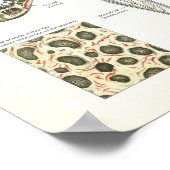 Digestive System Anatomy Poster Internal Organs (Hoek)