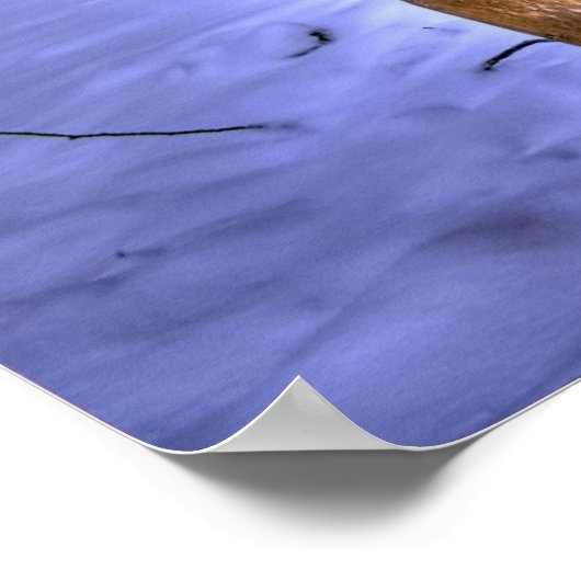 Digger Poster (Hoek)