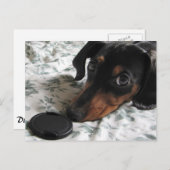 Digger Strike a Pose Briefkaart (Voorkant / Achterkant)