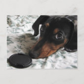 Digger Strike a Pose Briefkaart (Voorkant)