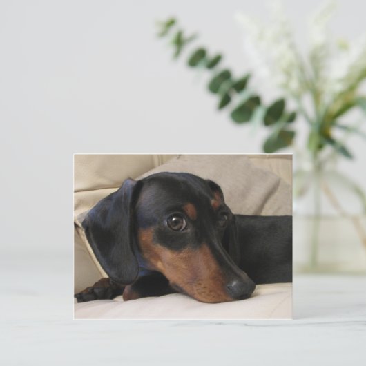 Digger the Dachshund Briefkaart (Staand voorkant)
